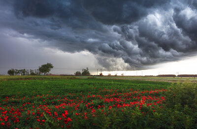 stormweer